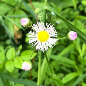 Meet your Posher, Adrien